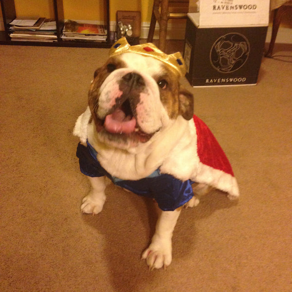 King Costume