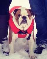 Winter Vest